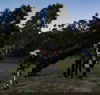 Stargazing Busselton with Mobile Observatory