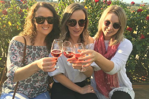 Half Day Swan Valley Wine Tour - Taree Accommodation 0