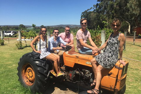 Half Day Swan Valley Wine Tour - Taree Accommodation 6