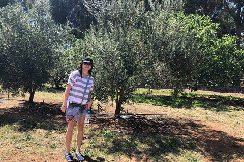 Full-Day Swan Valley, Wildlife Park, Winery & Fruit Orchard - Taree Accommodation 7