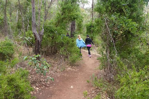 Granite Skywalk Porongurups - Taree Accommodation 3