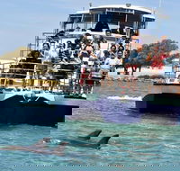 Mandurah Dolphin and Scenic Marine Cruise - Taree Accommodation