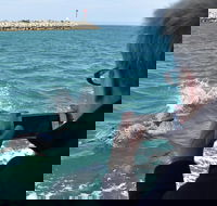 Mandurah Dolphin Island Adventure - Taree Accommodation