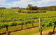 Full-Day Benedictine New Norcia & Swan Valley Winery - thumb 4