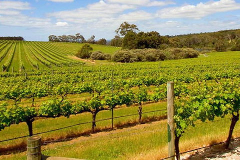 Full-Day Benedictine New Norcia & Swan Valley Winery - Taree Accommodation 4