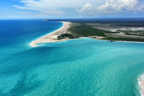 Mitchell Falls Tour - Mt Hart, Mitchell Falls, Horizontal Falls & Cape Leveque - Taree Accommodation 3