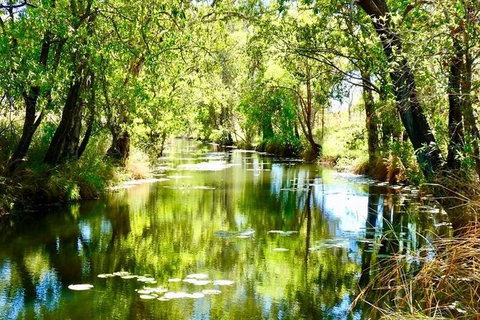 Mitchell Falls Tour - Mt Hart, Mitchell Falls, Horizontal Falls & Cape Leveque - Taree Accommodation 9