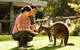 Very Best Of Perth Tour - Wildlife Park & City Highlights Tour - thumb 0