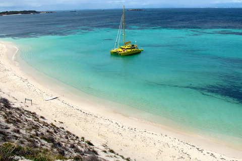 Full Day Sail To Rottnest Island From Fremantle - Taree Accommodation 1