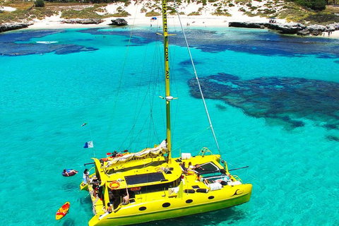 Full Day Sail To Rottnest Island From Fremantle - Taree Accommodation 2