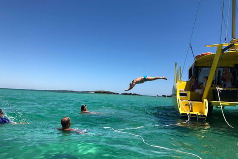 Full Day Sail To Rottnest Island From Fremantle - Taree Accommodation 11