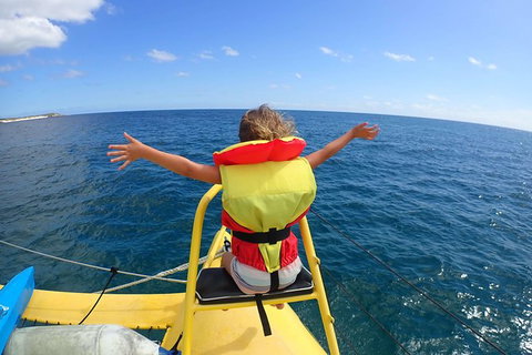 Full Day Sail To Rottnest Island From Fremantle - Taree Accommodation 8