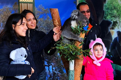 Caversham Wildlife Park, Old Guildford Town & Swan Valley Tour - Taree Accommodation 1