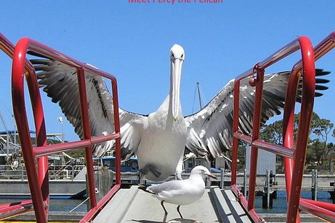 Kalgan Queen Scenic Cruises A Four Hour Sheltered Water Wildlife Tour Daily Fun. - Taree Accommodation 1