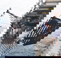 Rottnest Island Wild Seafood Package from Perth with Transfer - Taree Accommodation