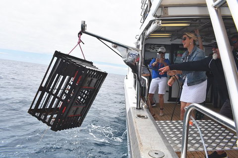 Rottnest Island Wild Seafood Package From Perth With Transfer - Taree Accommodation 0