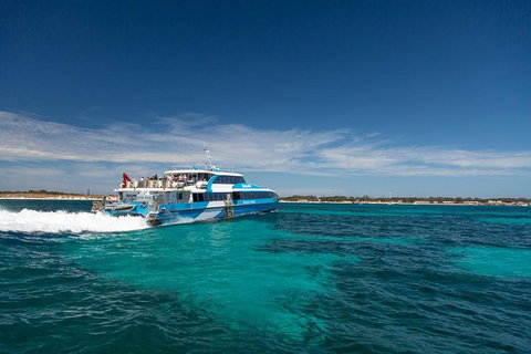 Rottnest Island Wild Seafood Package From Perth With Transfer - Taree Accommodation 1