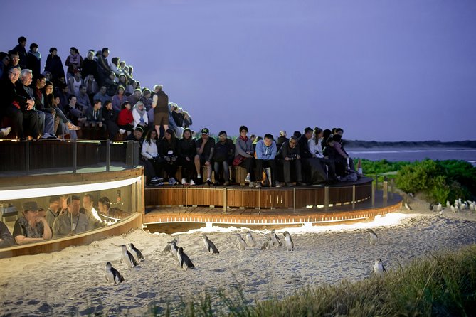 Phillip Island VIC Taree Accommodation