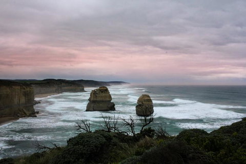 Full-Day Great Ocean Road And 12 Apostles Sunset Tour From Melbourne - Taree Accommodation 25