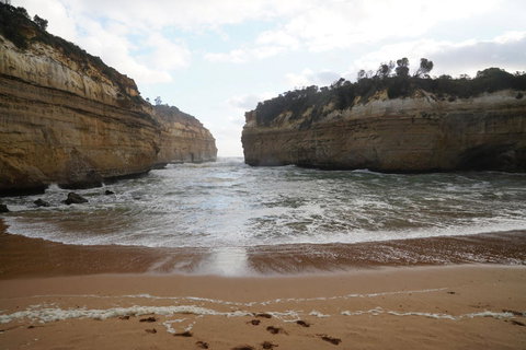 Full-Day Great Ocean Road And 12 Apostles Sunset Tour From Melbourne - Taree Accommodation 5