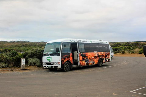 Full-Day Great Ocean Road And 12 Apostles Sunset Tour From Melbourne - Taree Accommodation 18