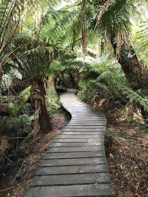 Full-Day Great Ocean Road And 12 Apostles Sunset Tour From Melbourne - Taree Accommodation 8