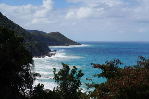 Full-Day Great Ocean Road And 12 Apostles Sunset Tour From Melbourne - Taree Accommodation 4