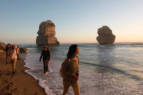 Full-Day Great Ocean Road And 12 Apostles Sunset Tour From Melbourne - Taree Accommodation 28