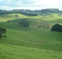Day Tour of Phillip Island  Surrounding Region - Taree Accommodation