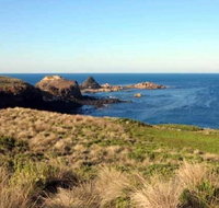 Phillip Island Walking  Bird Watching Tour - Taree Accommodation