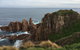Phillip Island Walking & Bird Watching Tour - thumb 8