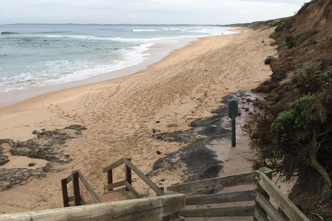 Phillip Island Walking & Bird Watching Tour - Taree Accommodation 3