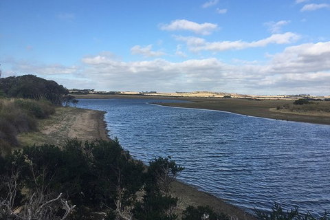 Phillip Island Walking & Bird Watching Tour - Taree Accommodation 7