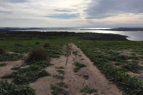 Phillip Island Walking & Bird Watching Tour - Taree Accommodation 4