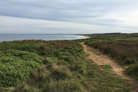 Phillip Island Walking & Bird Watching Tour - Taree Accommodation 5