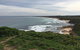 Phillip Island Walking & Bird Watching Tour - thumb 1