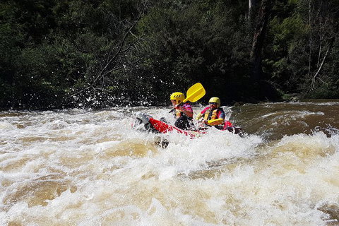 Whitewater Sports Rafting On The Yarra River - Taree Accommodation 1
