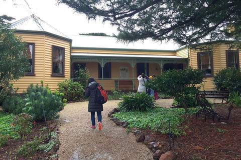 Day Tour Of Phillip Island Nature Parks & Penguins - Taree Accommodation 7