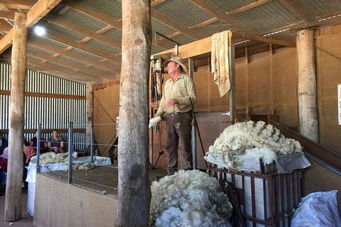 Day Tour Of Phillip Island Nature Parks & Penguins - Taree Accommodation 5