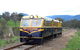 Steam Train, Yarra Valley & Healesville Wildlife Sanctuary Full Day Tour - thumb 0