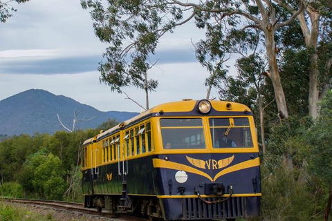 Steam Train, Yarra Valley & Healesville Wildlife Sanctuary Full Day Tour - Taree Accommodation 3