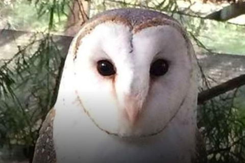 Steam Train, Yarra Valley & Healesville Wildlife Sanctuary Full Day Tour - Taree Accommodation 5