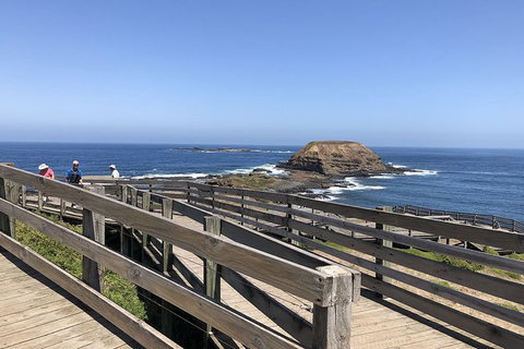 Day Tour Of Phillip Island, The Surrounding Region And Wine Tasting - Taree Accommodation 14