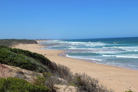 Day Tour Of Phillip Island, The Surrounding Region And Wine Tasting - Taree Accommodation 5