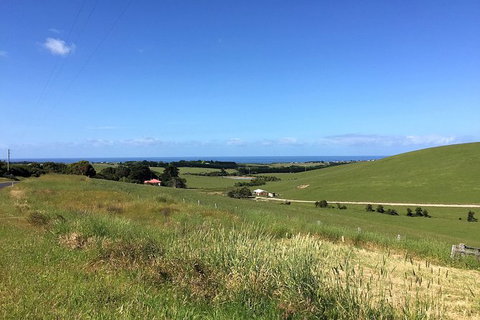 Day Tour Of Phillip Island, The Surrounding Region And Wine Tasting - Taree Accommodation 6