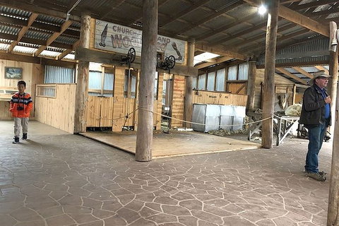 Day Tour Of Phillip Island, The Surrounding Region And Wine Tasting - Taree Accommodation 8