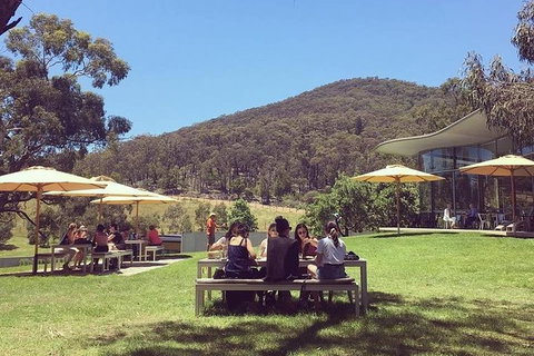 CHEVY CONVERTIBLE Package For 2 People- Wine Lunch Cheese & Chocolate From Melb. - Taree Accommodation 6