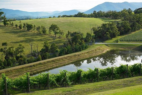 CHEVY CONVERTIBLE Package For 2 People- Wine Lunch Cheese & Chocolate From Melb. - Taree Accommodation 9