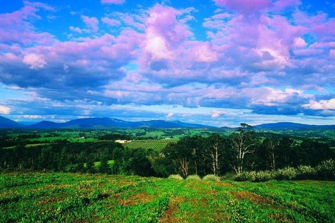 CHEVY CONVERTIBLE Package For 2 People- Wine Lunch Cheese & Chocolate From Melb. - Taree Accommodation 7