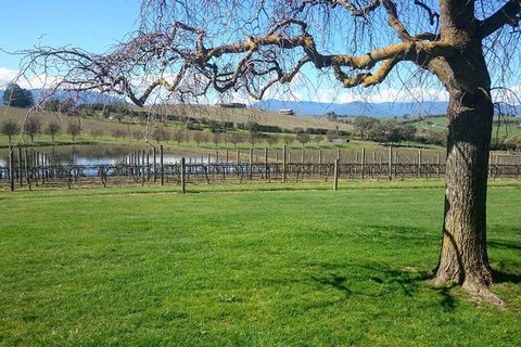 CHEVY CONVERTIBLE Package For 2 People- Wine Lunch Cheese & Chocolate From Melb. - Taree Accommodation 4